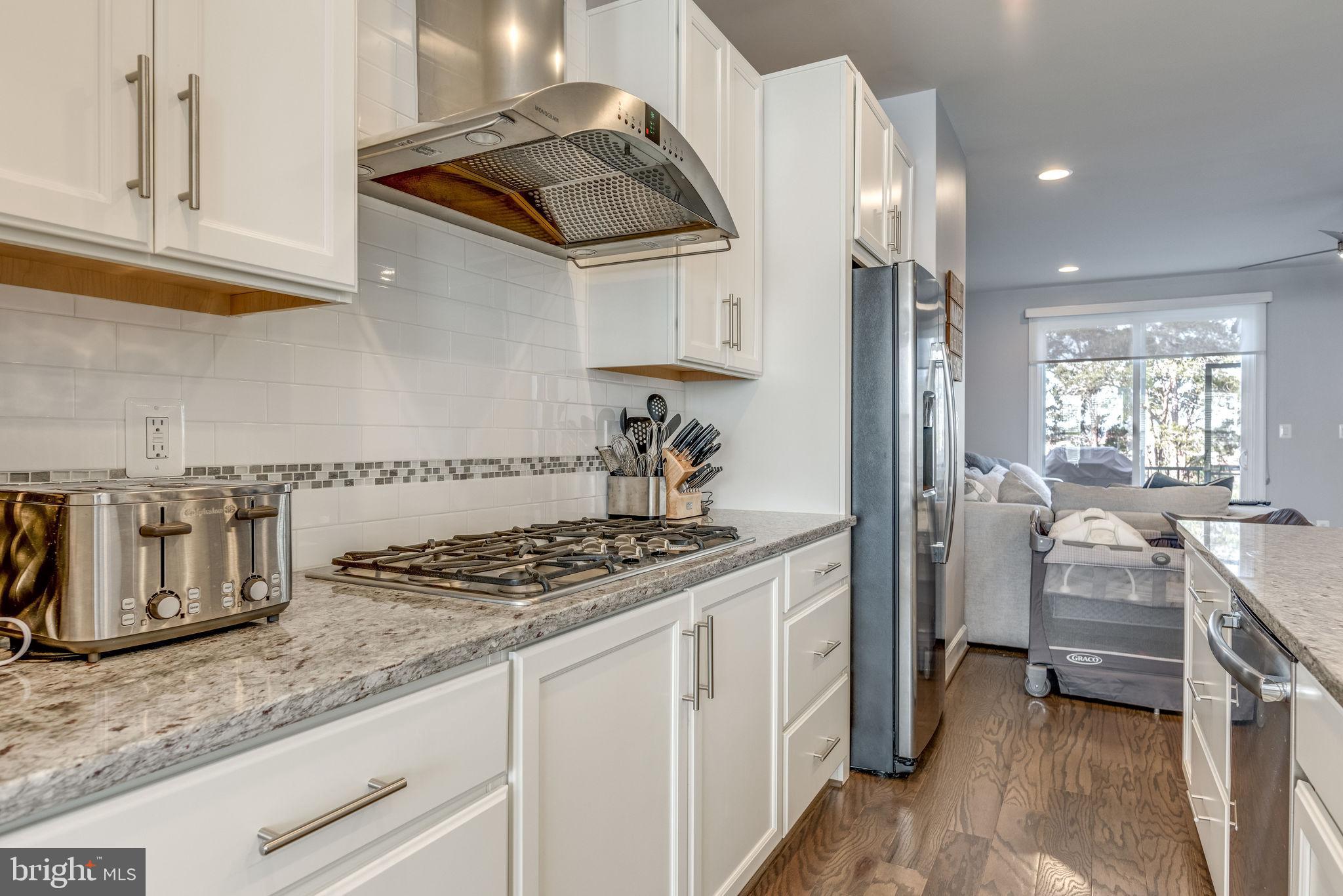 23659 Turtle Point Terrace Ashburn, VA 20148 - Photo 8 of 49 Gallery Image 8