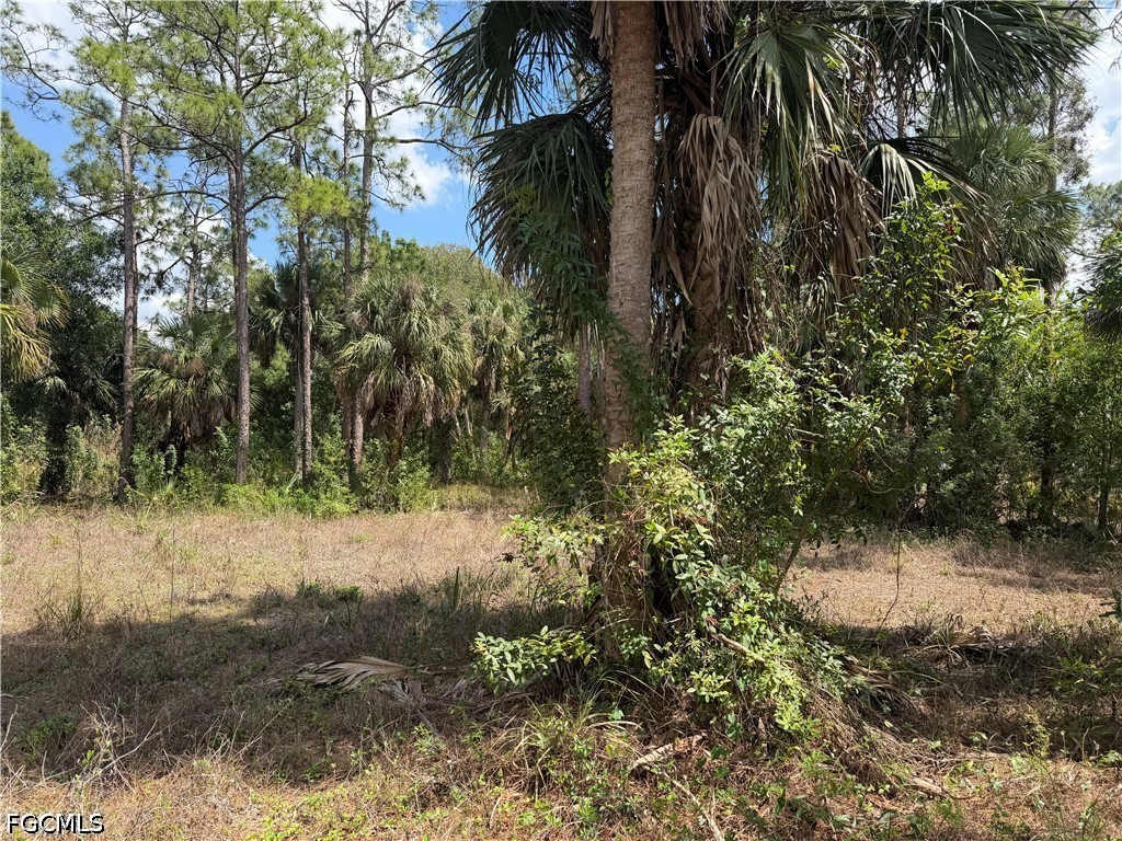 8261 Scarecrow Road North Fort Myers, FL 33917 - Photo 2 of 10