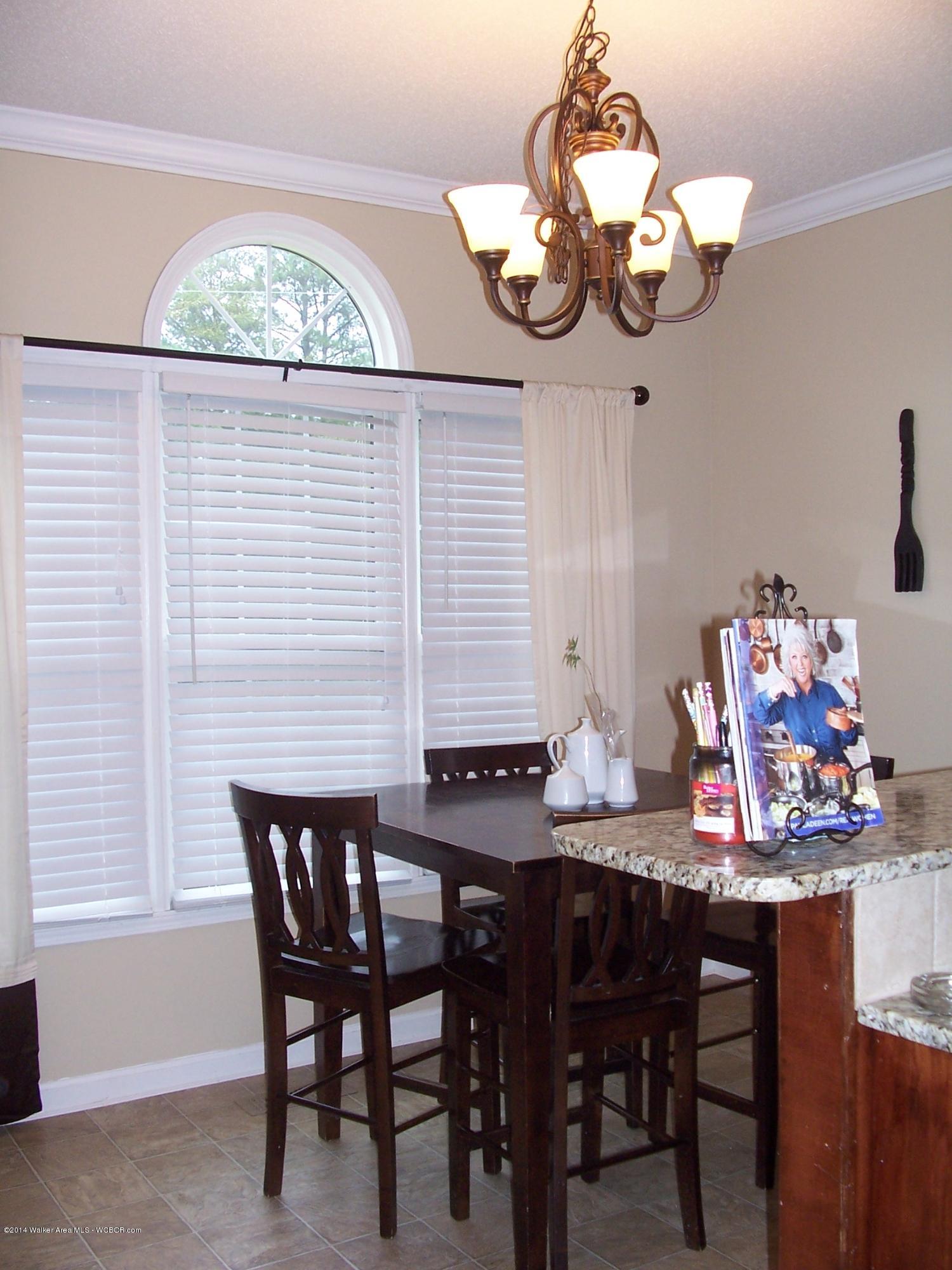161 Lone Oak Road Jasper, AL 35504 - Photo 8 of 16 Gallery Image 8