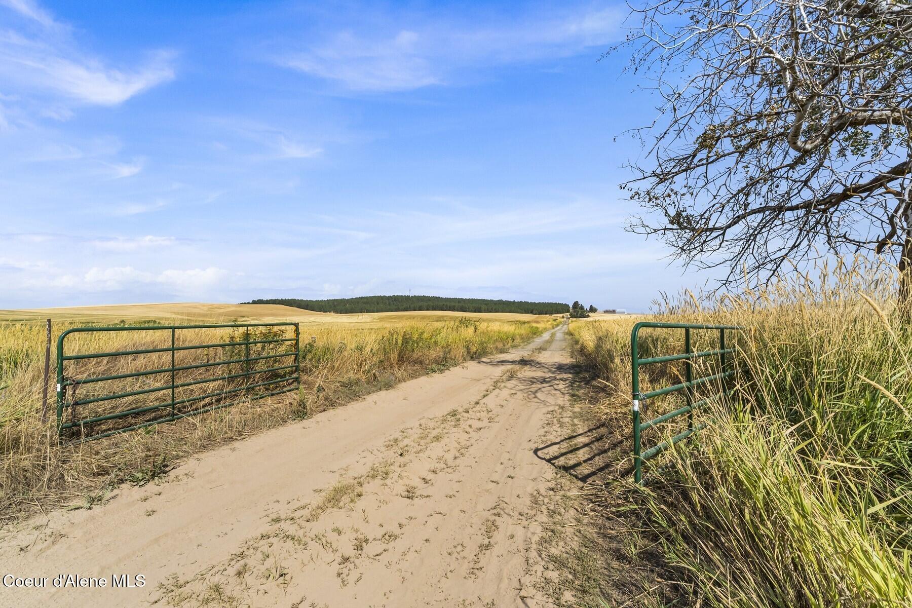 8597 West Rolling Hills Road Worley, ID 83876 - Photo 11 of 47 Access to original homesite