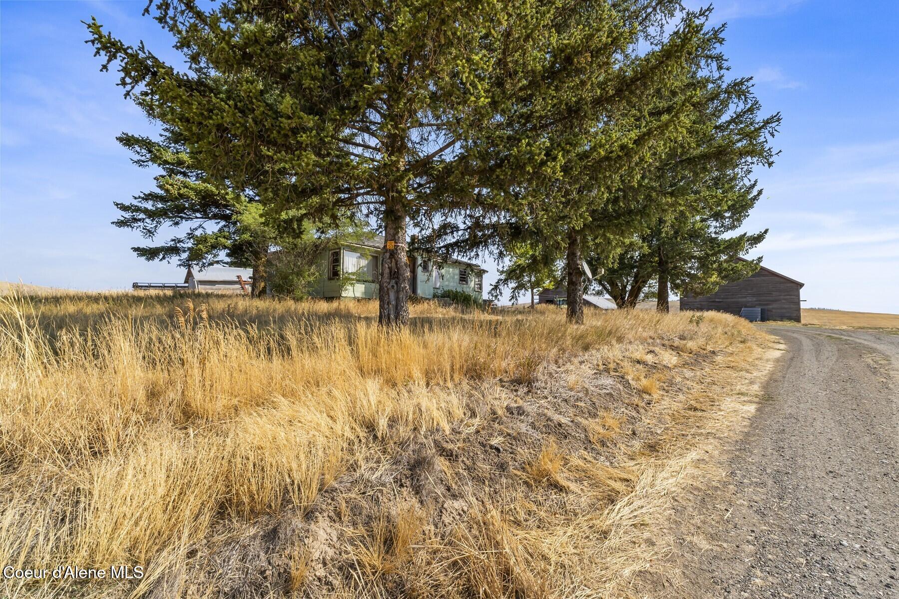 8597 West Rolling Hills Road Worley, ID 83876 - Photo 12 of 47 Main area of storage areas