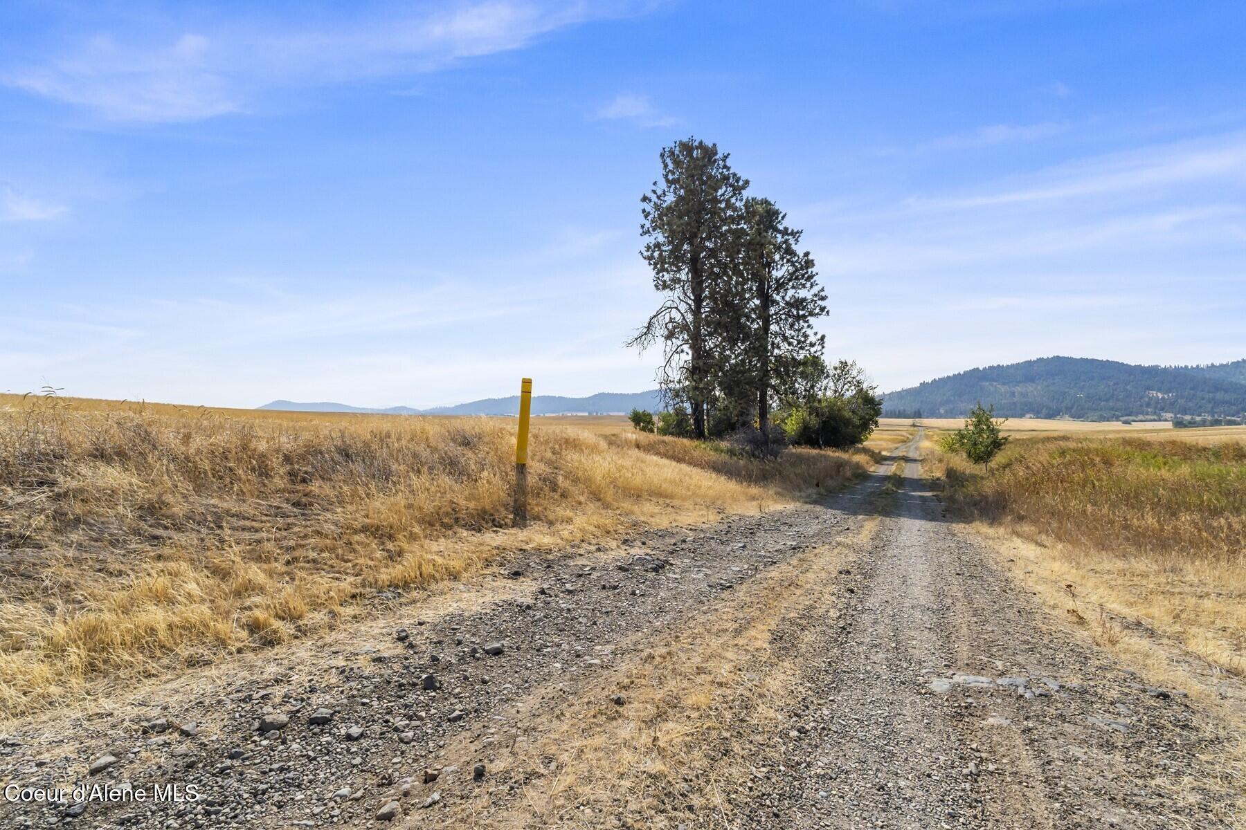 8597 West Rolling Hills Road Worley, ID 83876 - Photo 20 of 45 Driveway