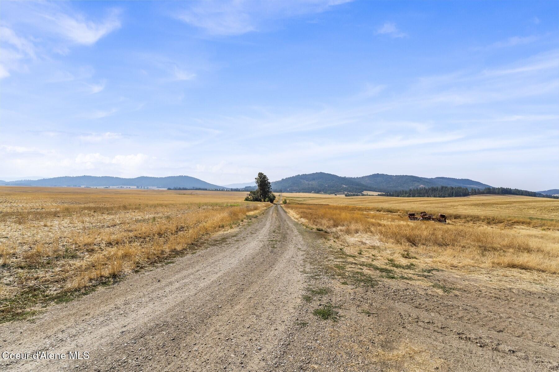 8597 West Rolling Hills Road Worley, ID 83876 - Photo 21 of 45 Roadway through property