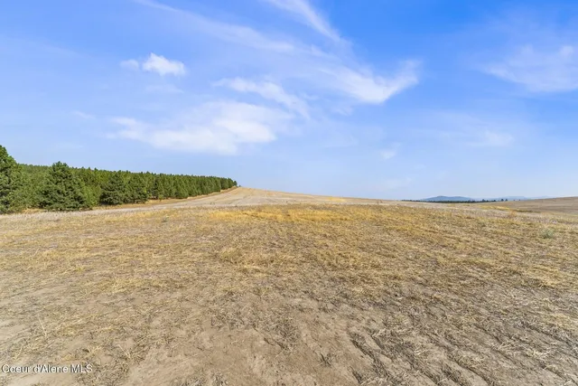 $5,950,000 | 8597 West Rolling Hills Road, Worley, ID 83876