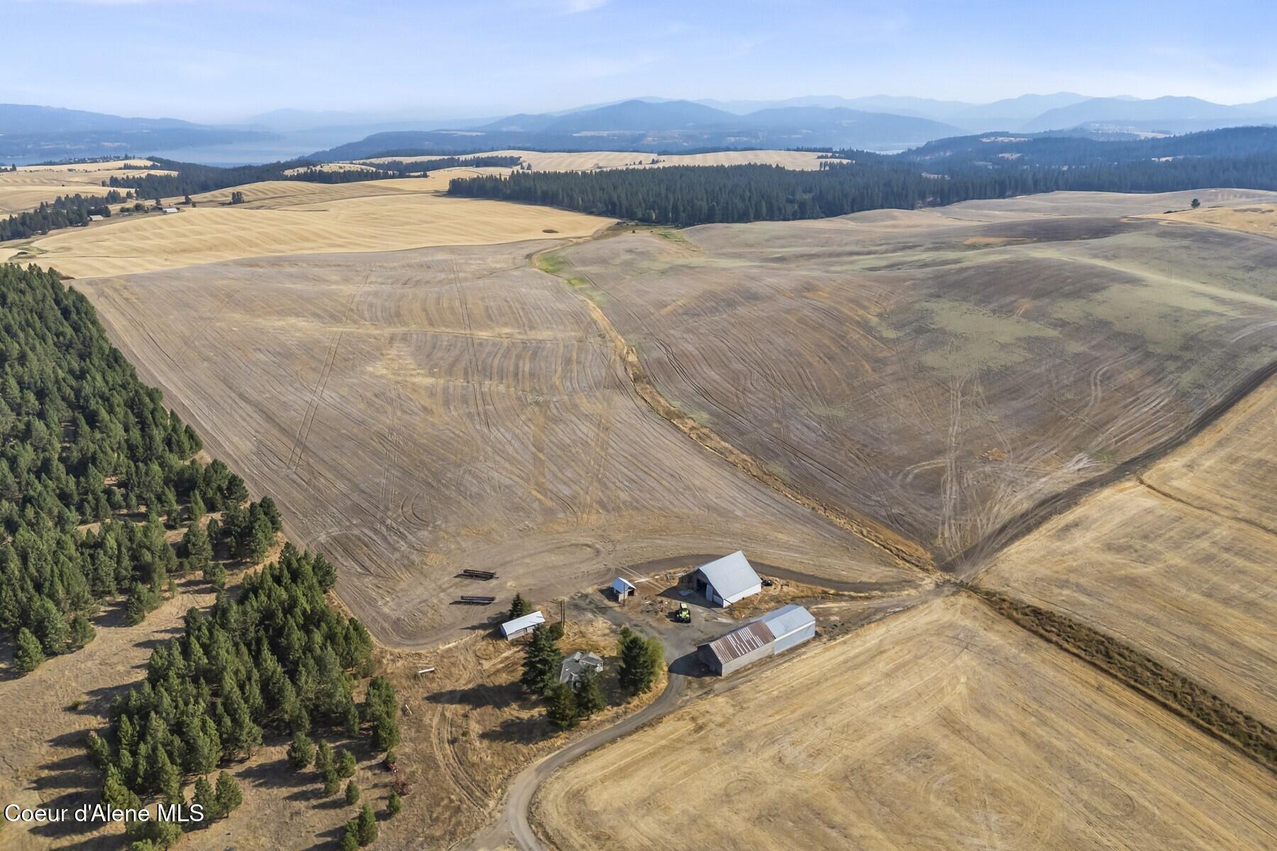 8597 West Rolling Hills Road Worley, ID 83876 - Photo 23 of 47 View from home site to acreage