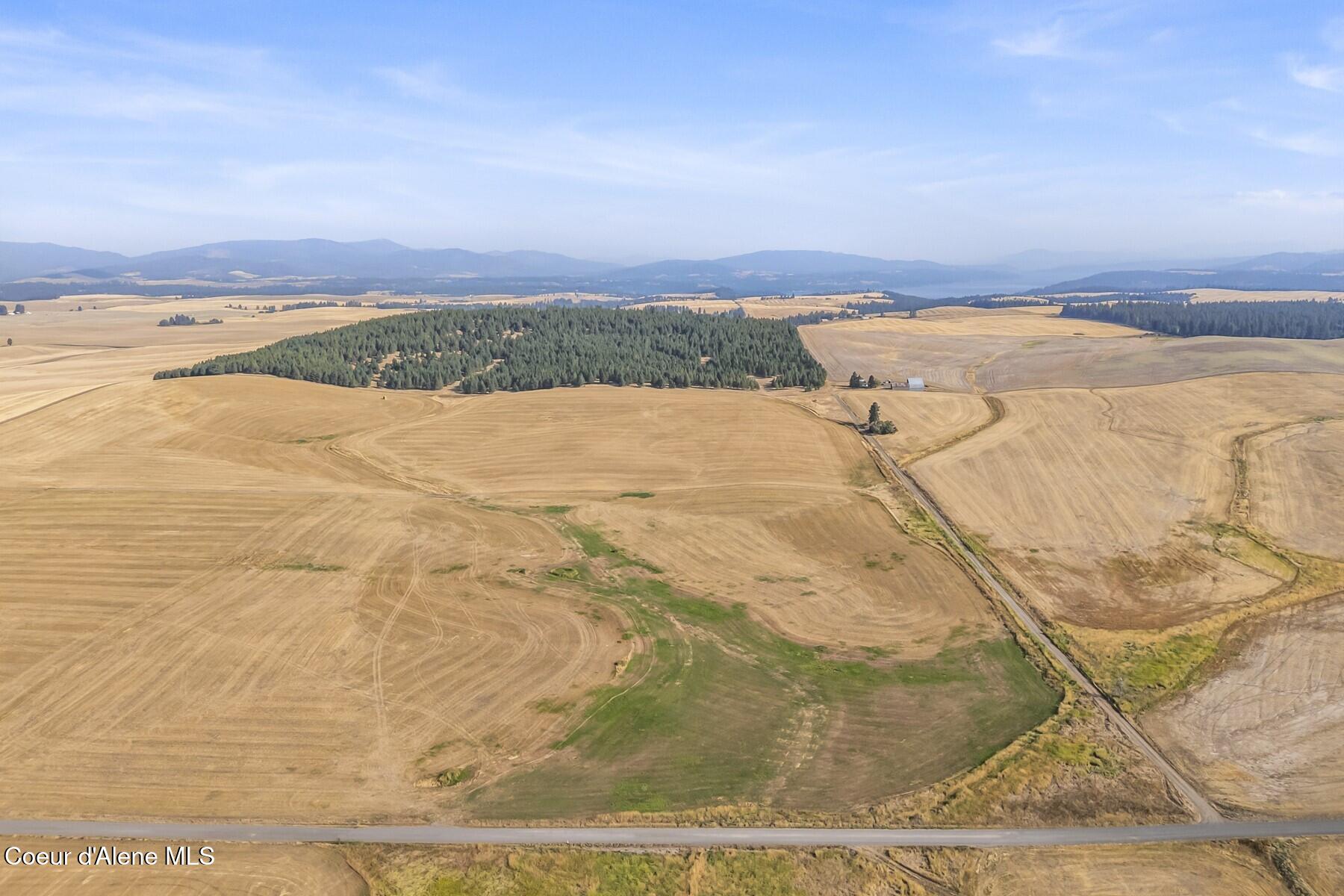 8597 West Rolling Hills Road Worley, ID 83876 - Photo 23 of 45 View to timbered area