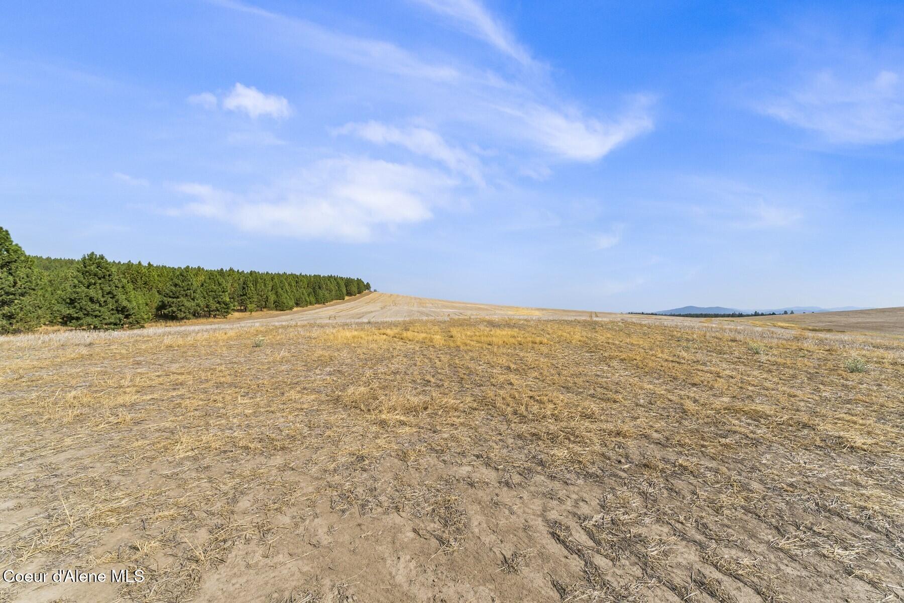 8597 West Rolling Hills Road Worley, ID 83876 - Photo 26 of 47 Rolling Hills