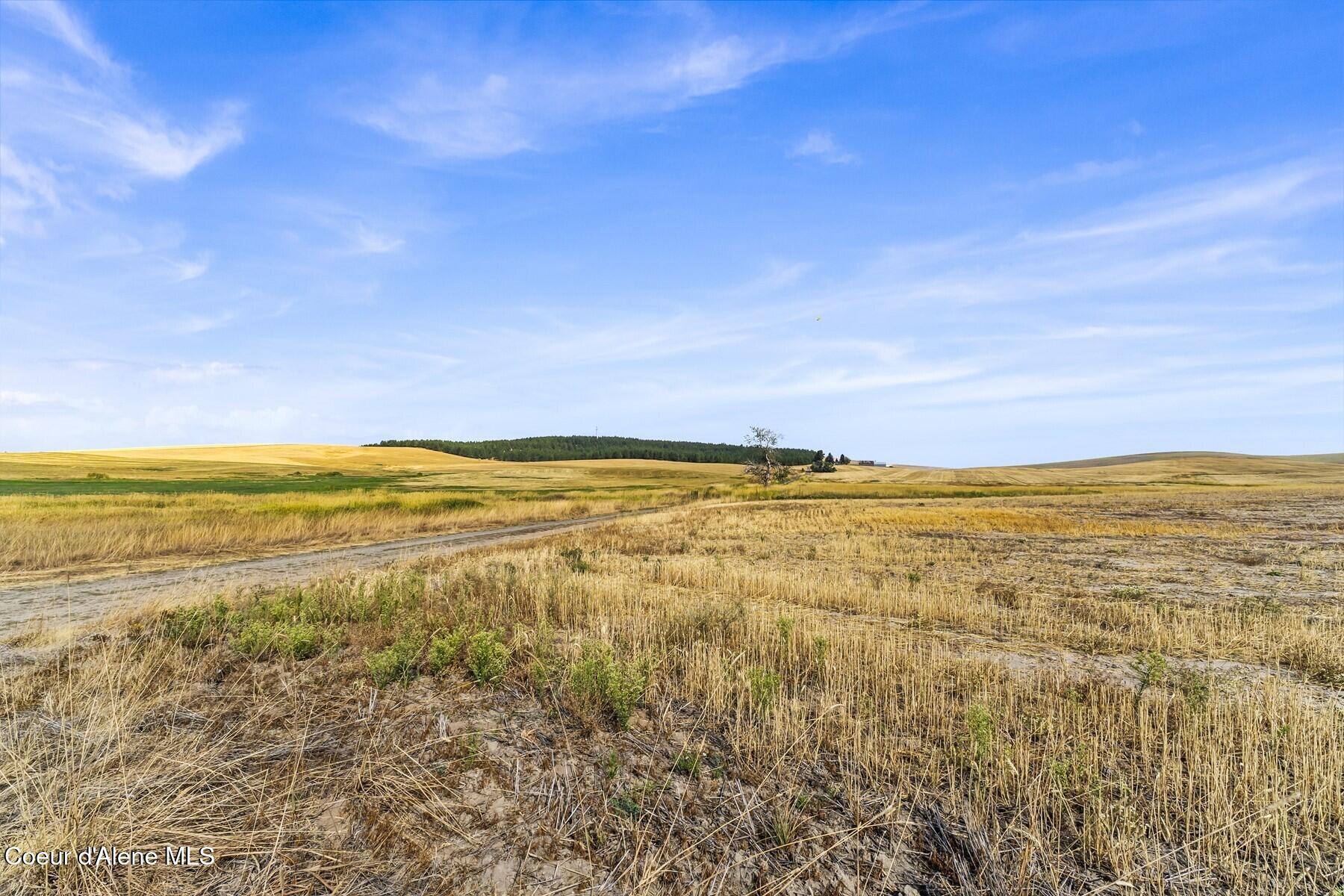 8597 West Rolling Hills Road Worley, ID 83876 - Photo 28 of 45 View to South