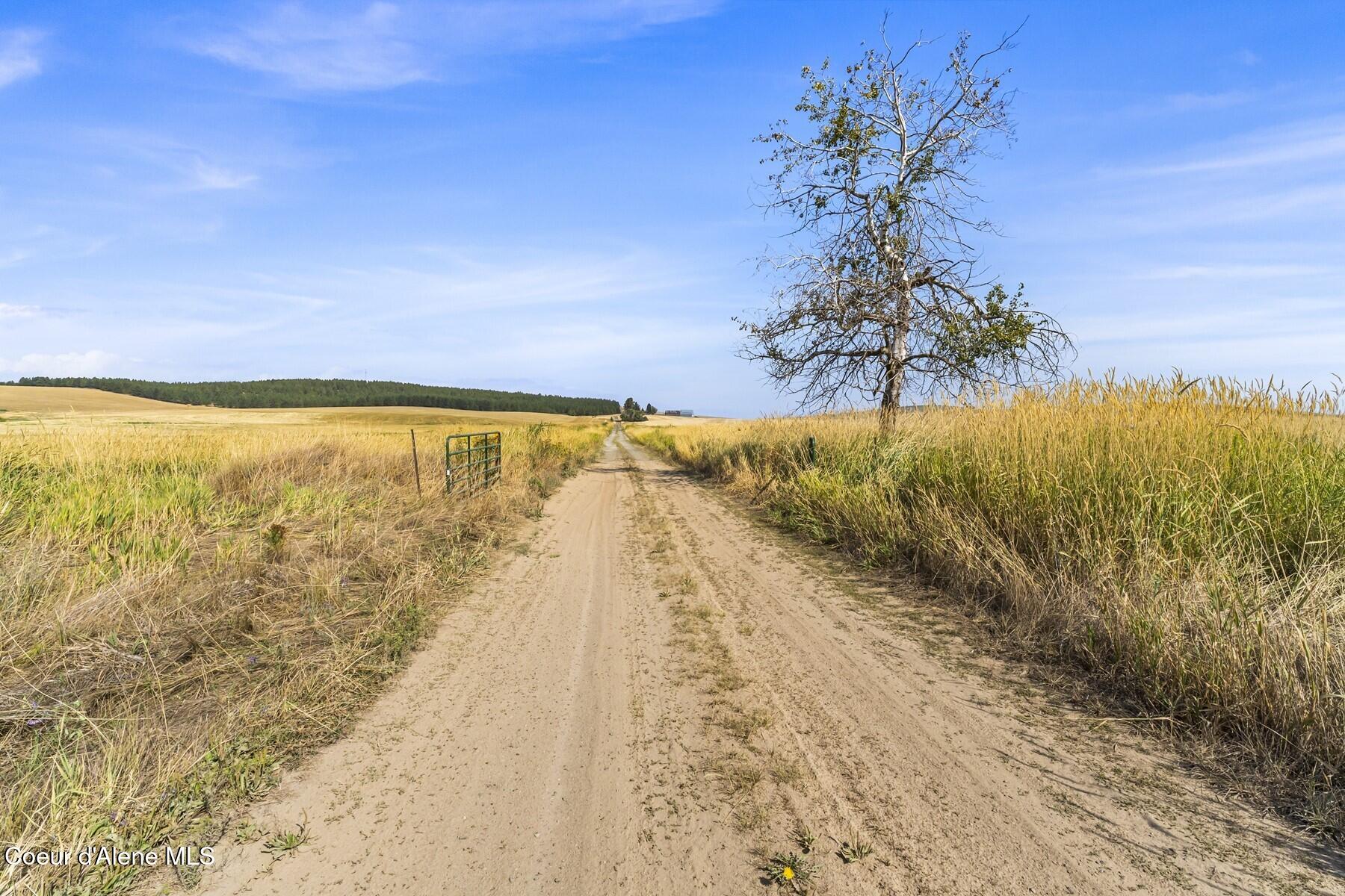 8597 West Rolling Hills Road Worley, ID 83876 - Photo 29 of 45 View to Driveway
