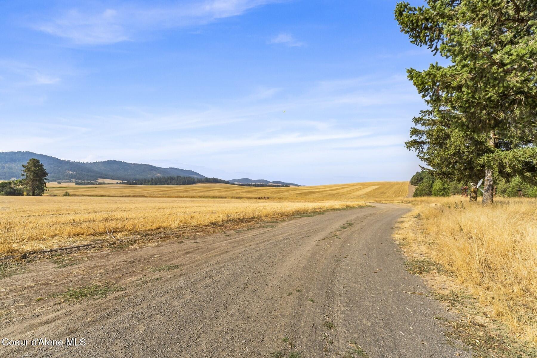8597 West Rolling Hills Road Worley, ID 83876 - Photo 30 of 47 View to North