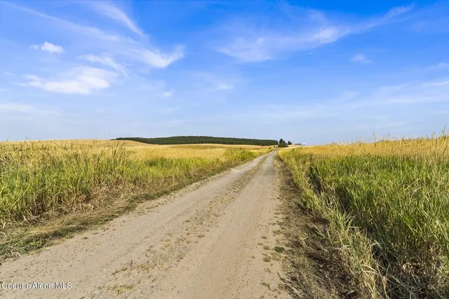 $5,950,000 | 8597 West Rolling Hills Road, Worley, ID 83876