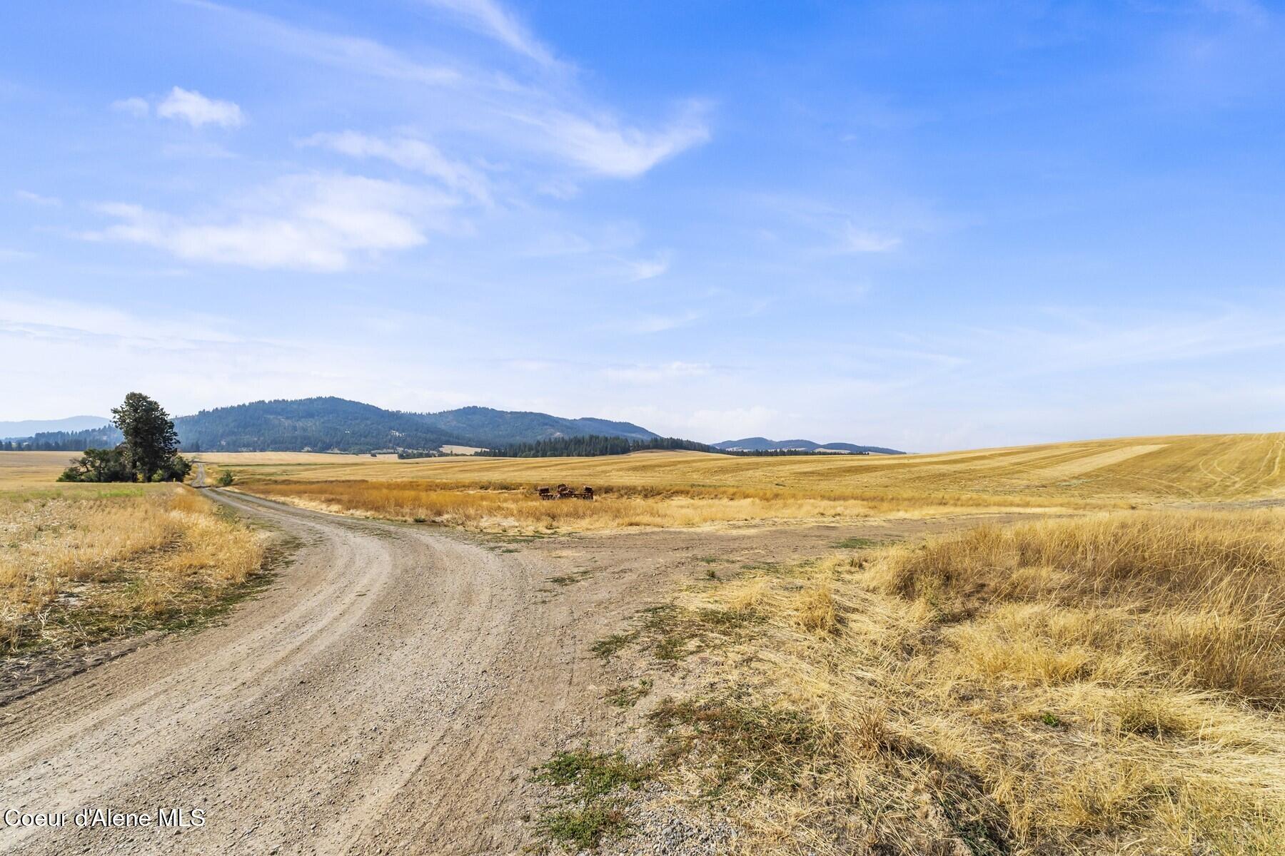 8597 West Rolling Hills Road Worley, ID 83876 - Photo 35 of 45 Roadway within Acreage
