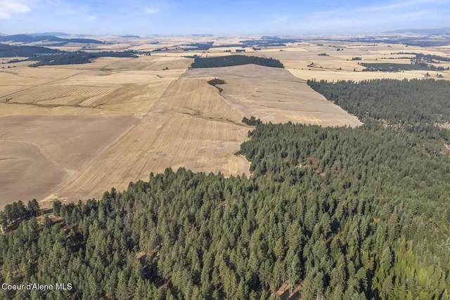 $5,950,000 | 8597 West Rolling Hills Road, Worley, ID 83876