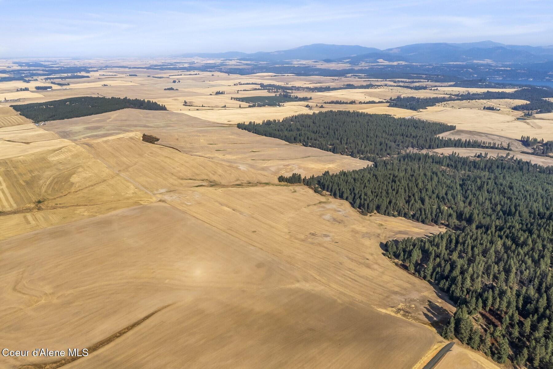 8597 West Rolling Hills Road Worley, ID 83876 - Photo 42 of 47 North Idaho fields