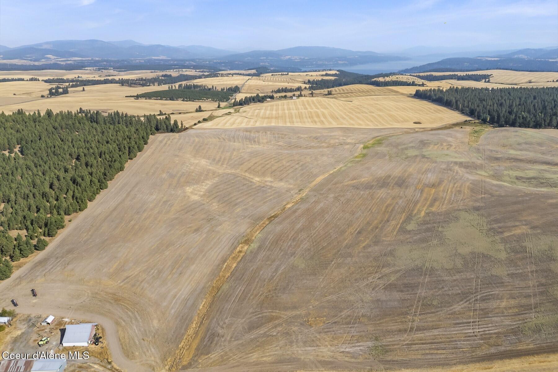 8597 West Rolling Hills Road Worley, ID 83876 - Photo 42 of 45 Looking to the South