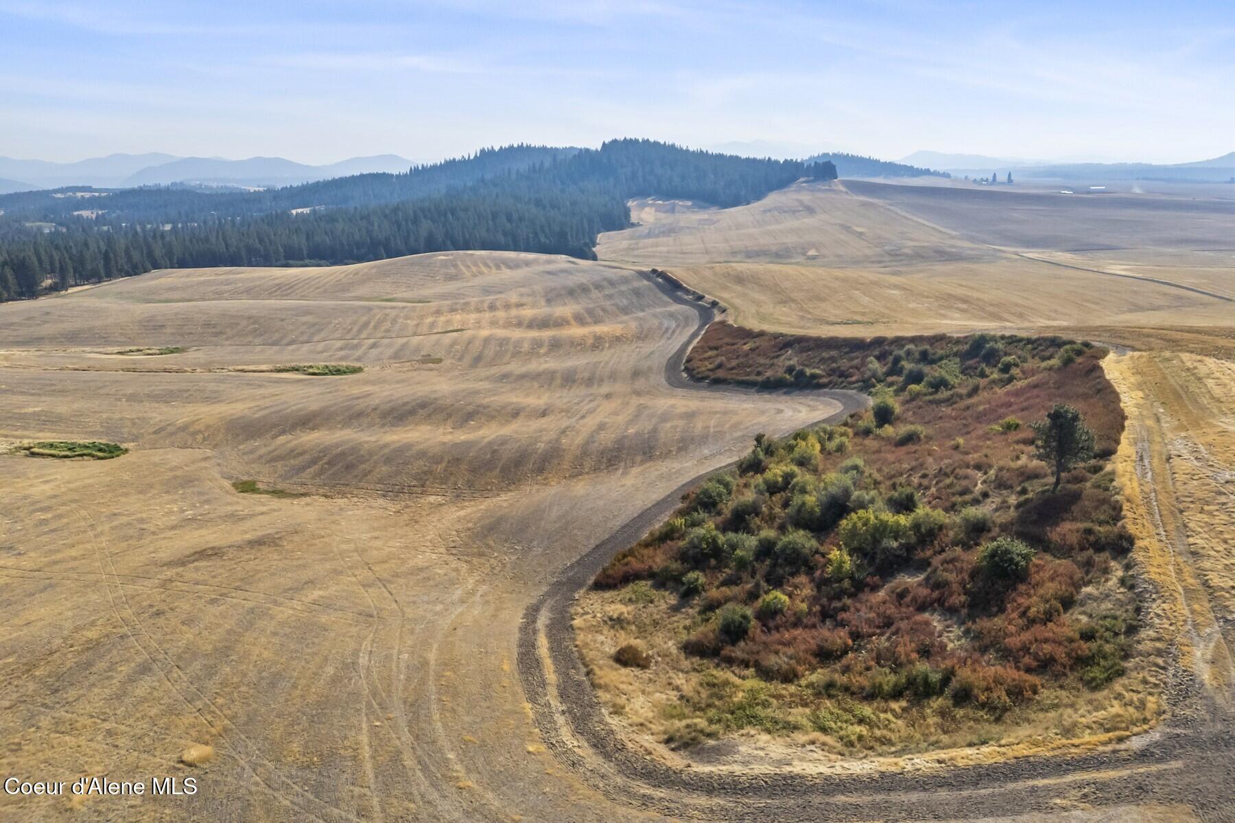 8597 West Rolling Hills Road Worley, ID 83876 - Photo 43 of 47 View to the South