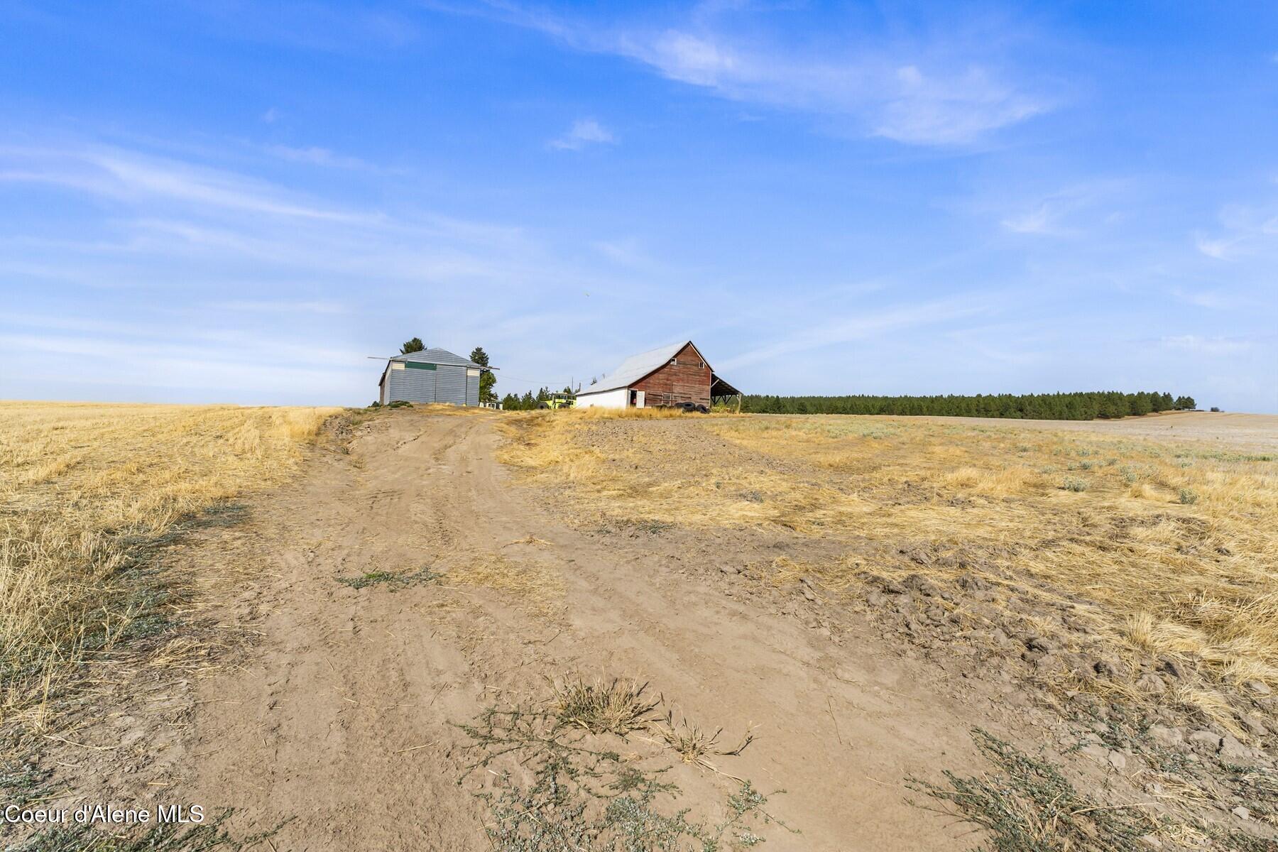8597 West Rolling Hills Road Worley, ID 83876 - Photo 46 of 47 Driveway to homesite