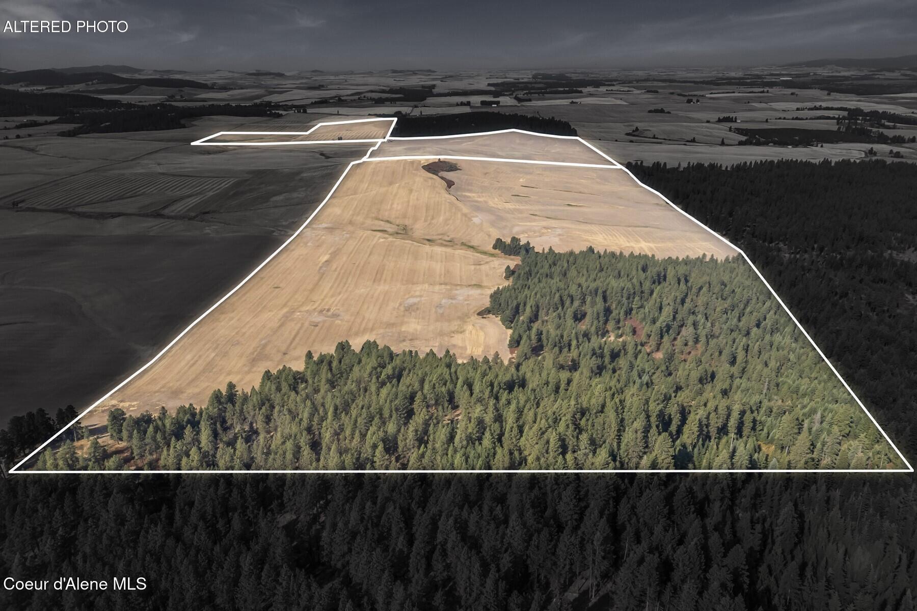 8597 West Rolling Hills Road Worley, ID 83876 - Photo 9 of 47 Corner of the Timber Acreage