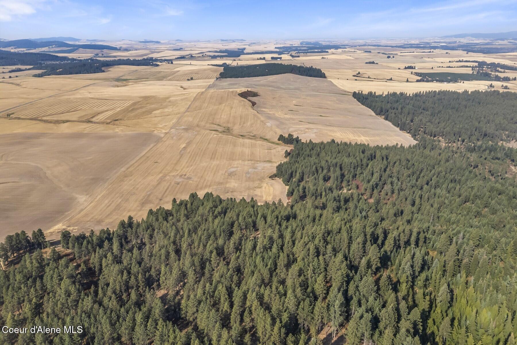 8597 West Rolling Hills Road Worley, ID 83876 - Photo 10 of 47 010_Aerial View over Timbered area
