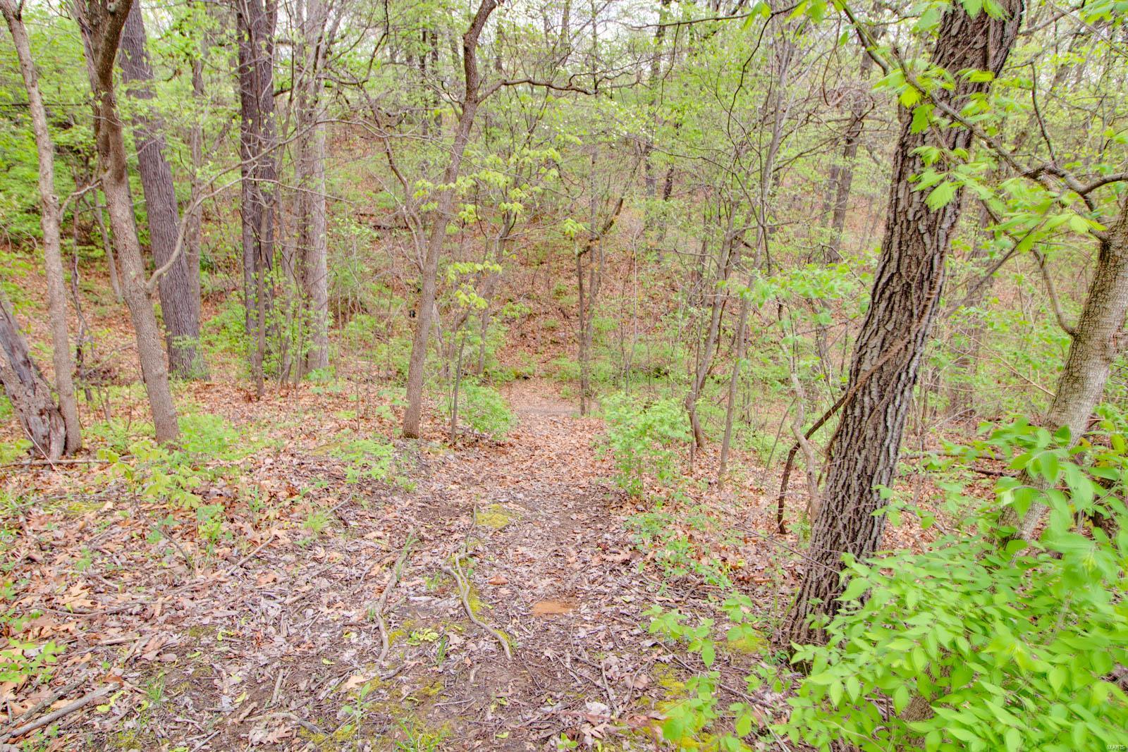 1367 Blue Ridge Road Hardin, IL 62047 - Photo 49 of 55 Gallery Image 49