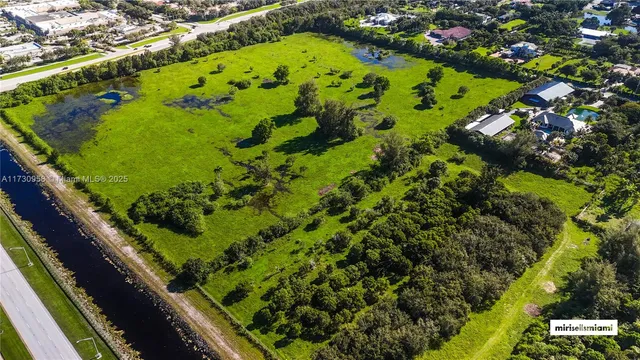 a view of a garden with plants