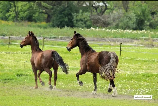 a view of a cafe with a couple of people sitting in front of retail shops