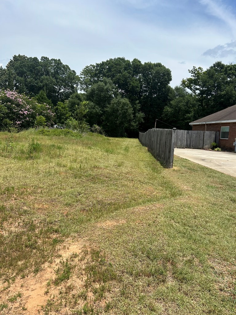 300 Rosa Lane Headland, AL 36345 - Photo 4 of 6