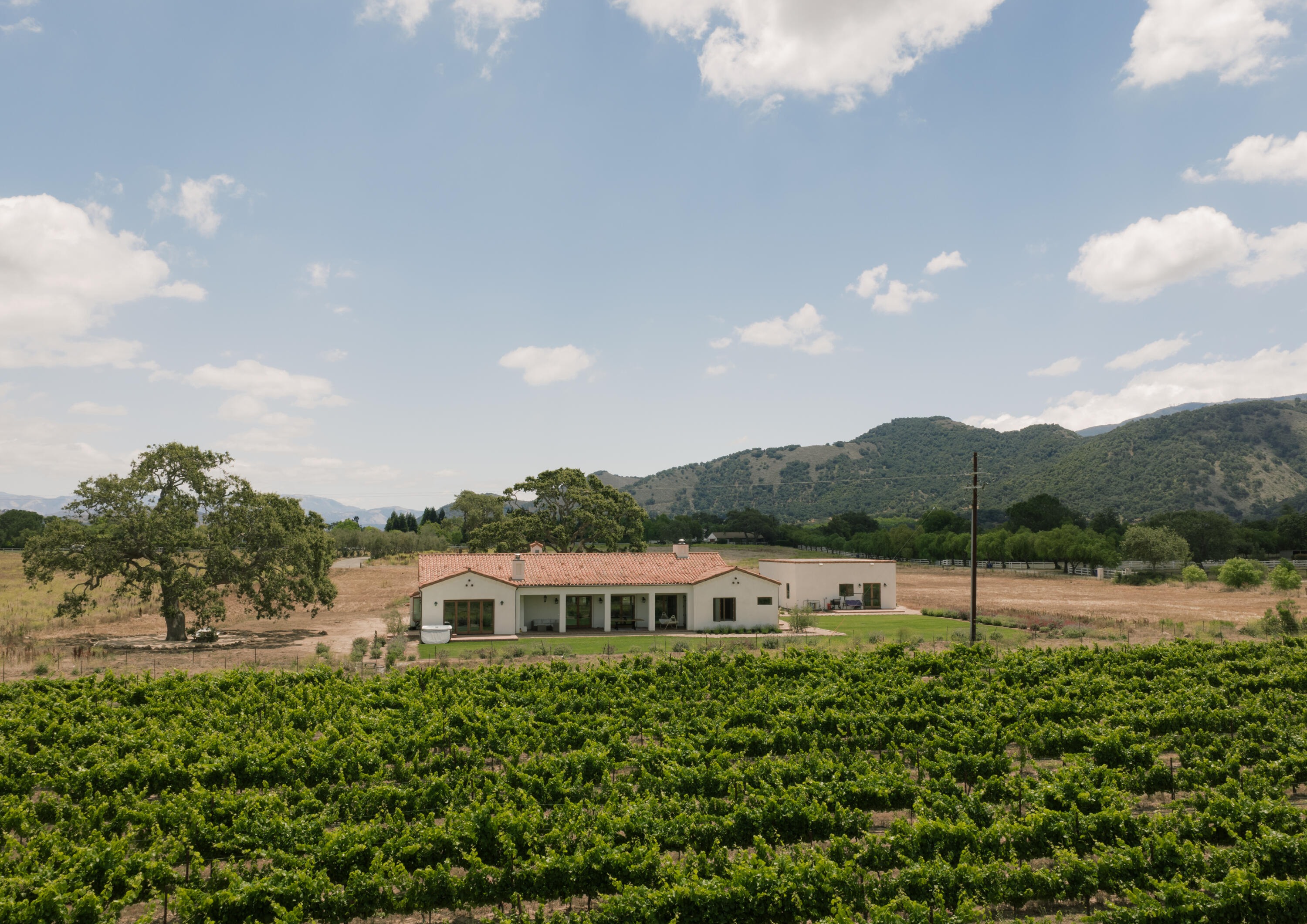 175 White Oak Road Santa Ynez, CA 93460 - Photo 4 of 44 View from Vineyard