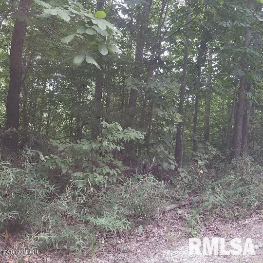 0 Crippen Road Ullin, IL 62992 - Photo 1 of 1