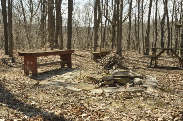 0 Trail Bottom Road Northwest Dundee, OH 44624 - Photo 4 of 22 Gallery Image 4