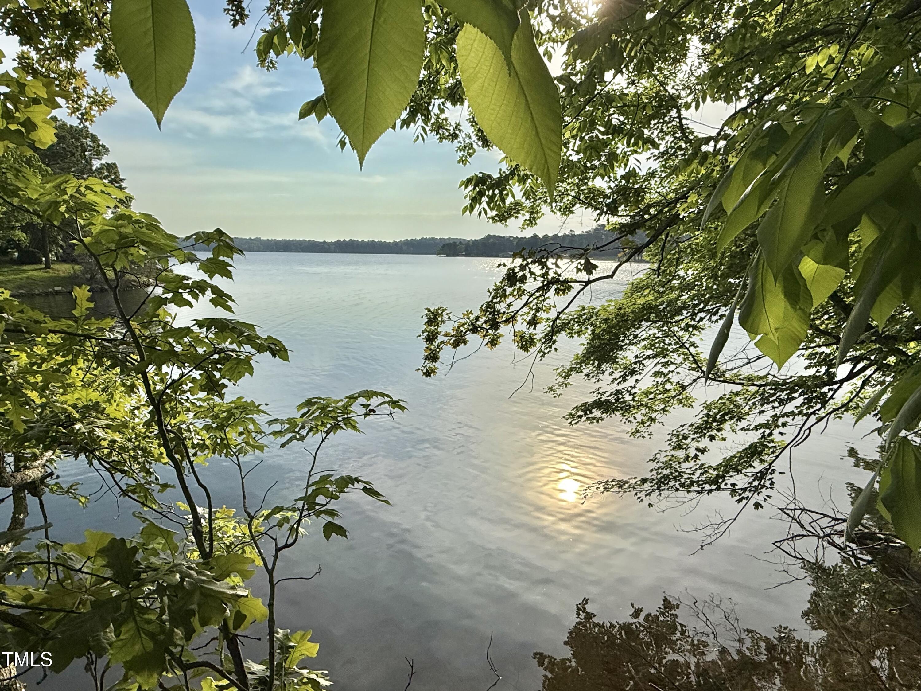 54-lot #) Pinesborough Estates Road Semora, NC 27343 - Photo 18 of 20 a view of lake from a tree