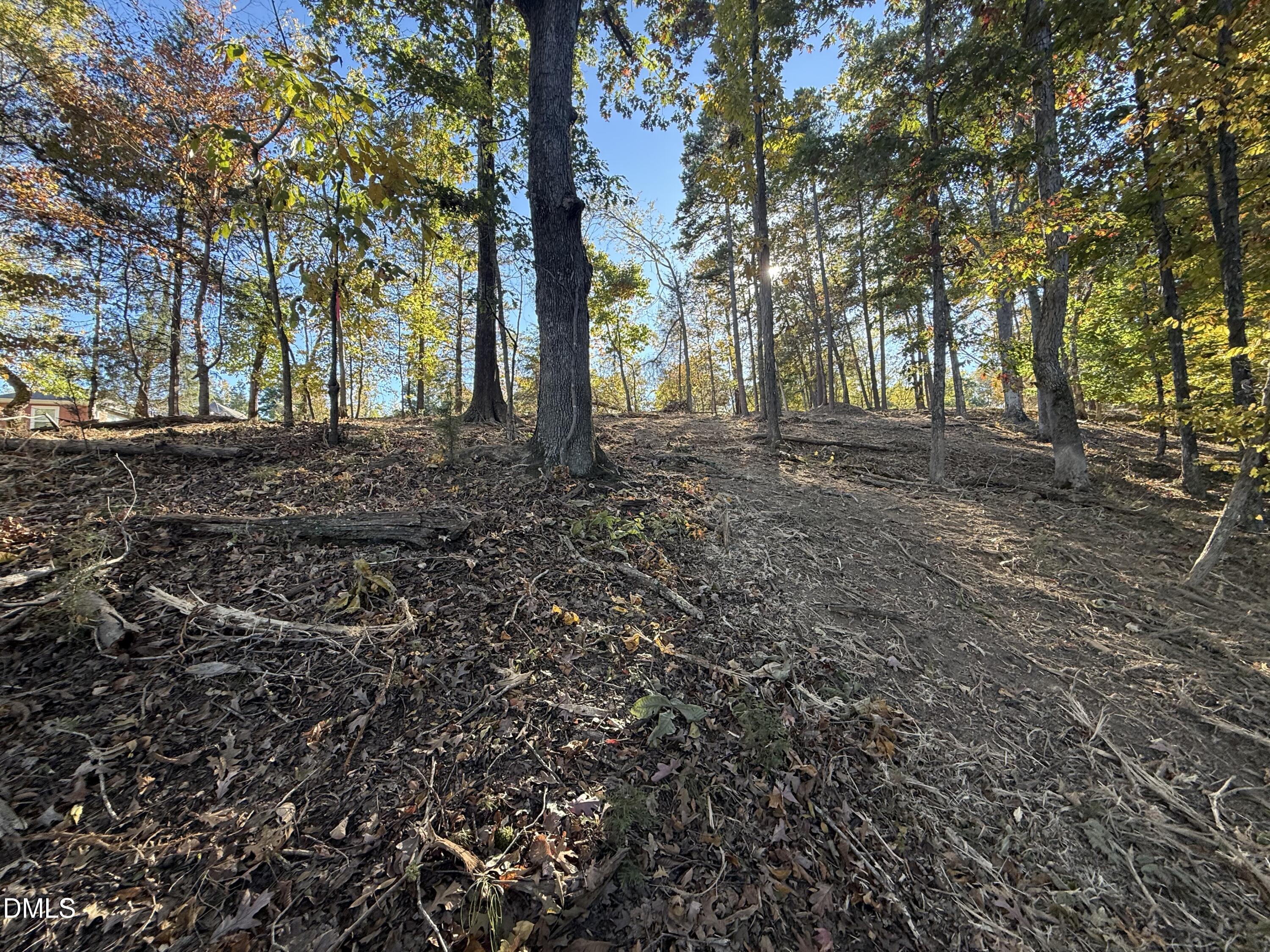 54-lot #) Pinesborough Estates Road Semora, NC 27343 - Photo 19 of 20 a view of outdoor space and tree