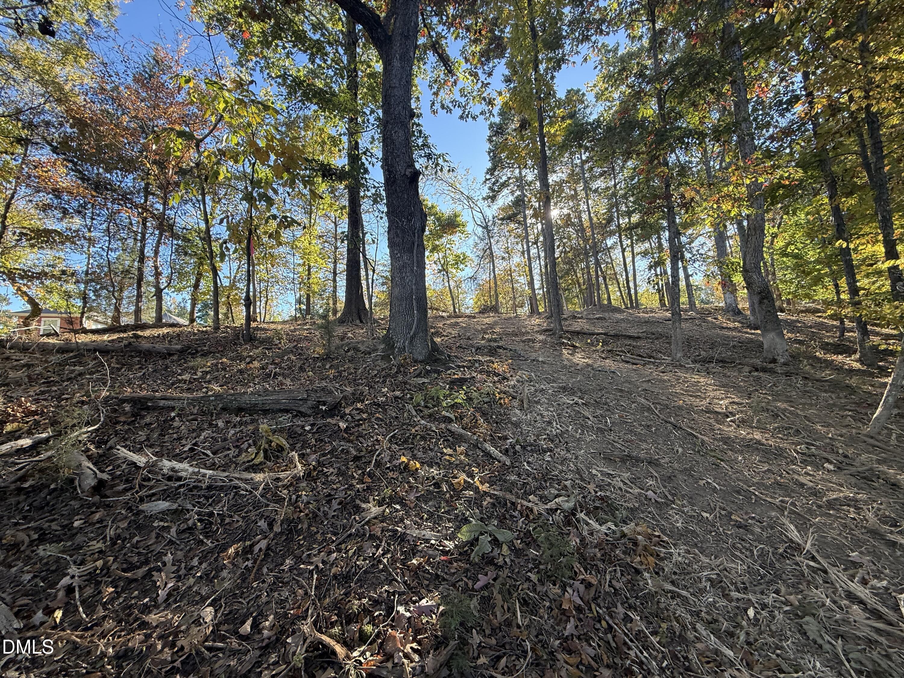 54-lot #) Pinesborough Estates Road Semora, NC 27343 - Photo 20 of 20 a view of a yard with plants and trees