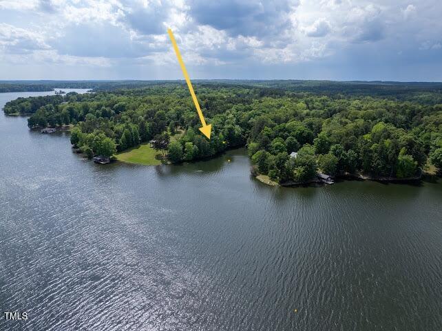 54-lot #) Pinesborough Estates Road Semora, NC 27343 - Photo 9 of 20 a view of a plants and a lake view