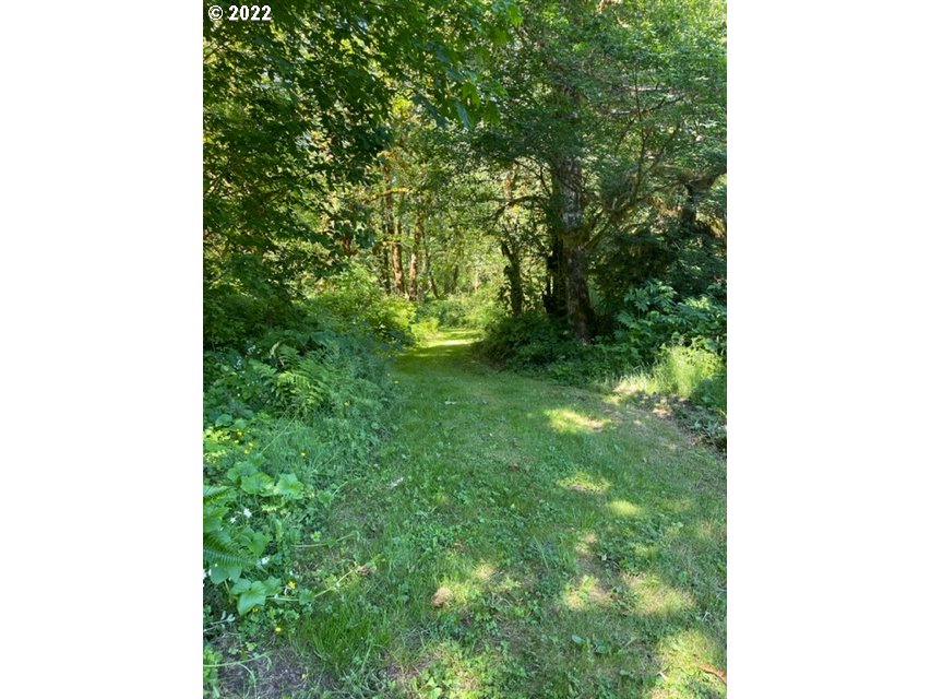 80369 Sha-NE-Mah Road Seaside, OR 97138 - Photo 29 of 32 Acreage