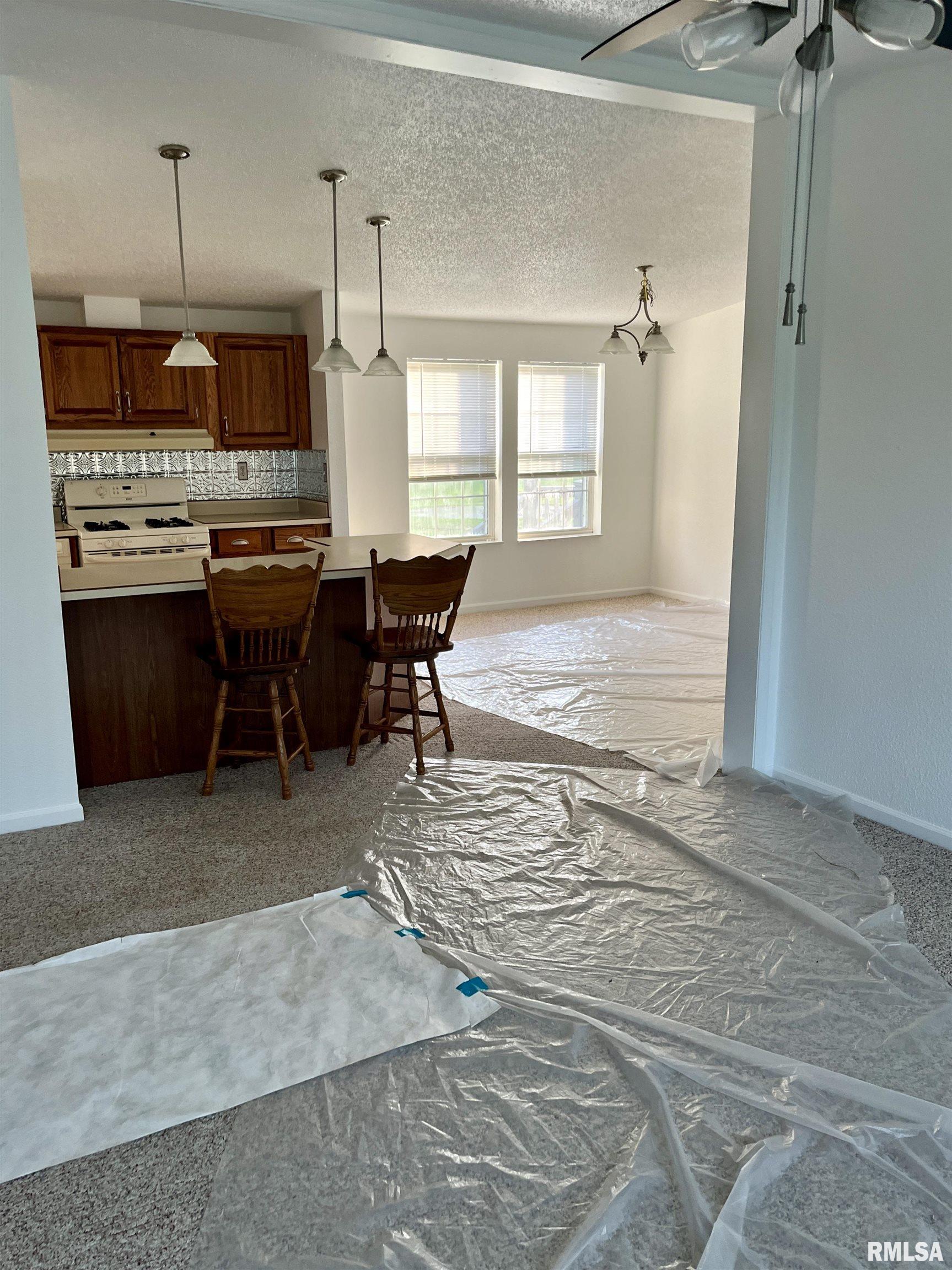 17227 Number 9 Blacktop West Frankfort, IL 62896 - Photo 4 of 12