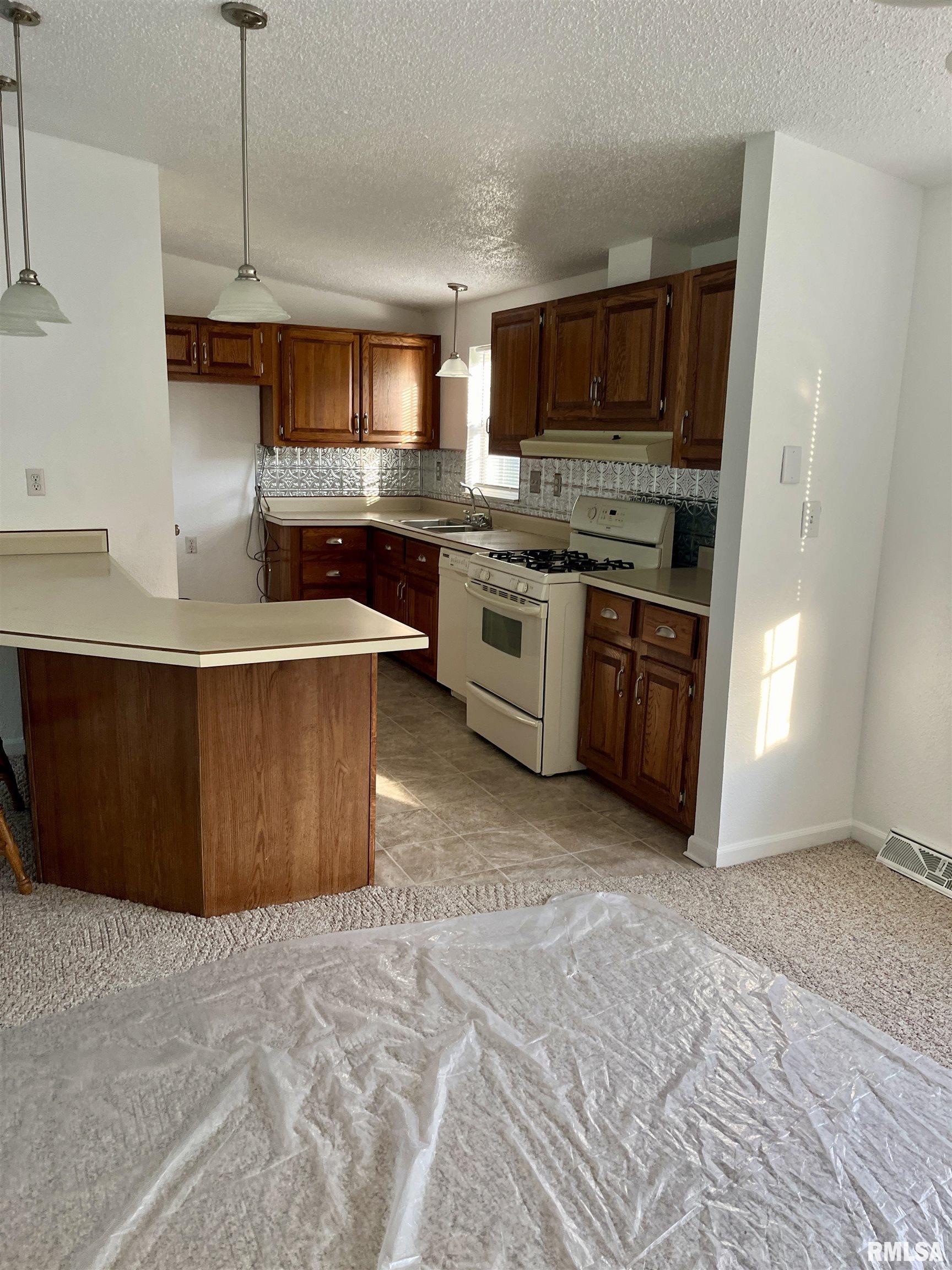 17227 Number 9 Blacktop West Frankfort, IL 62896 - Photo 5 of 12