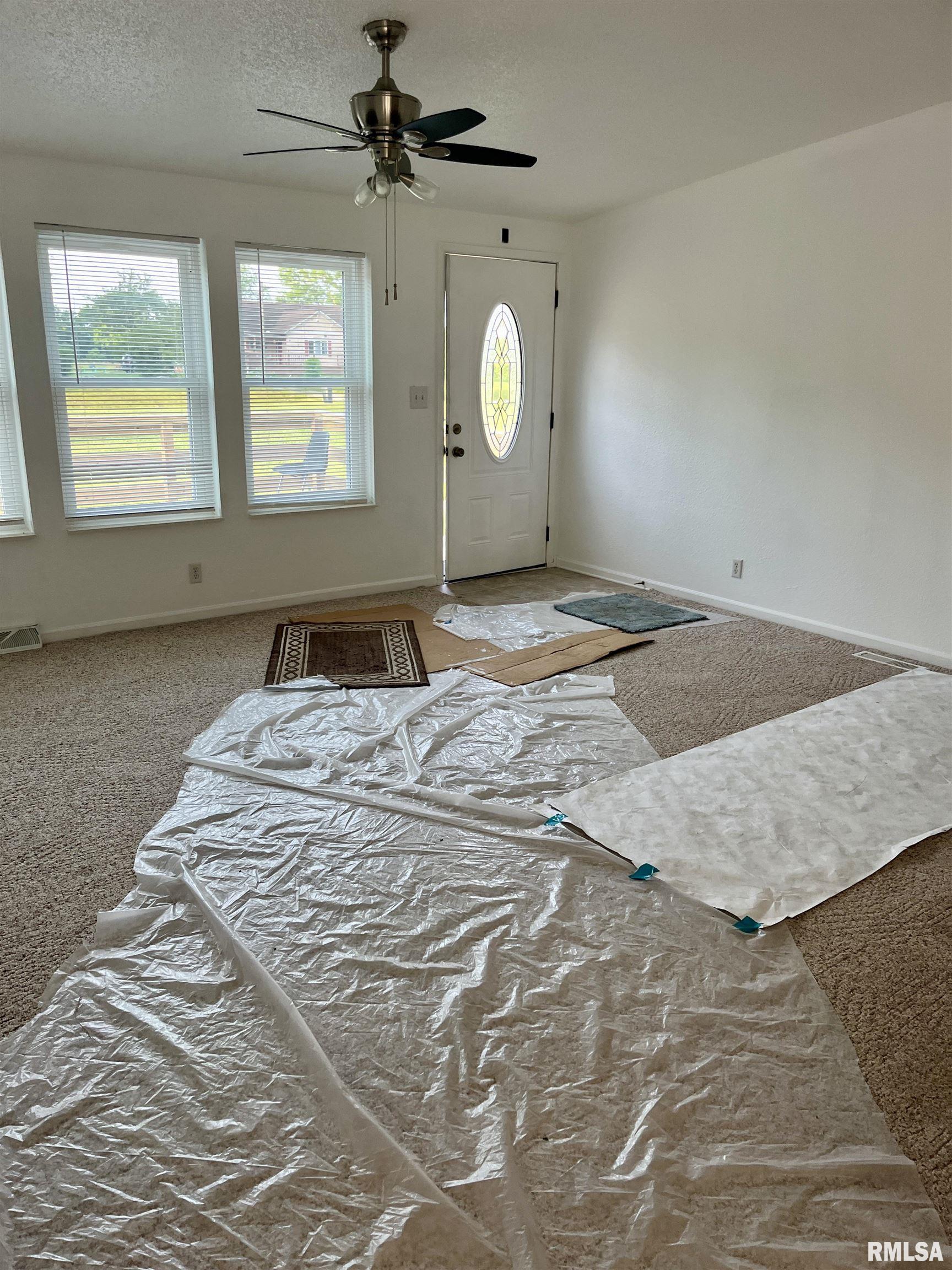 17227 Number 9 Blacktop West Frankfort, IL 62896 - Photo 7 of 12