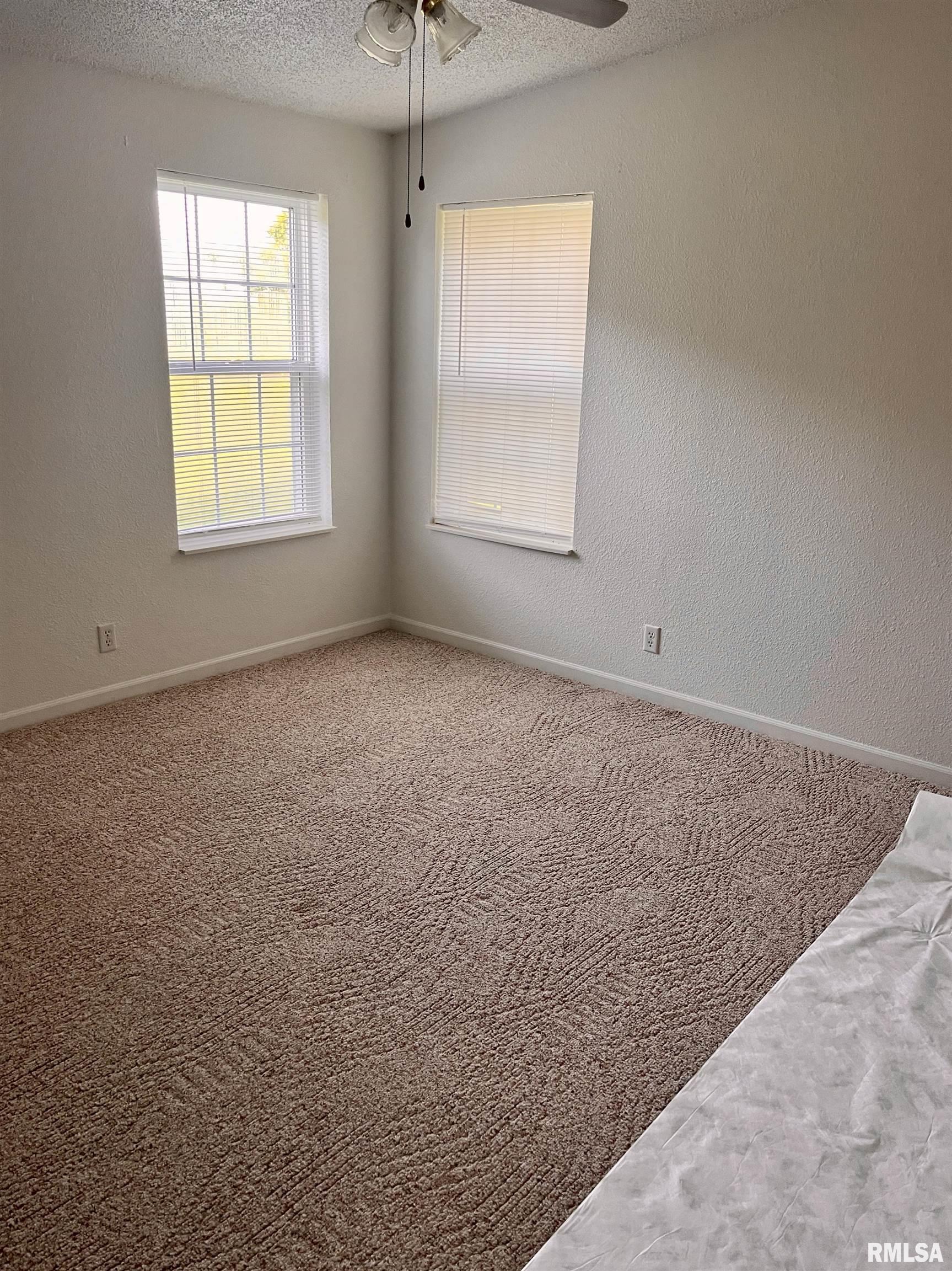 17227 Number 9 Blacktop West Frankfort, IL 62896 - Photo 10 of 12