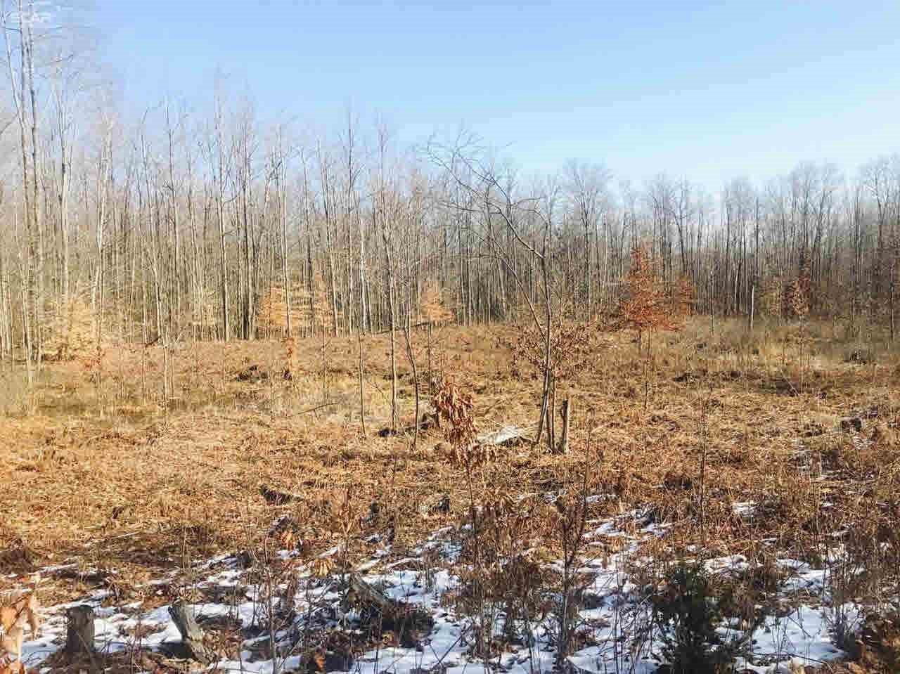 0 North Stark Road Hope, MI 48628 - Photo 29 of 89
