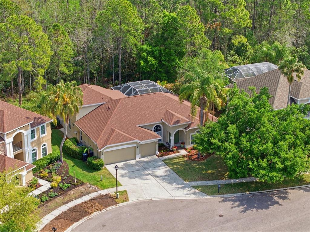 18931 Chaville Road Lutz, FL 33558 - Photo 2 of 78