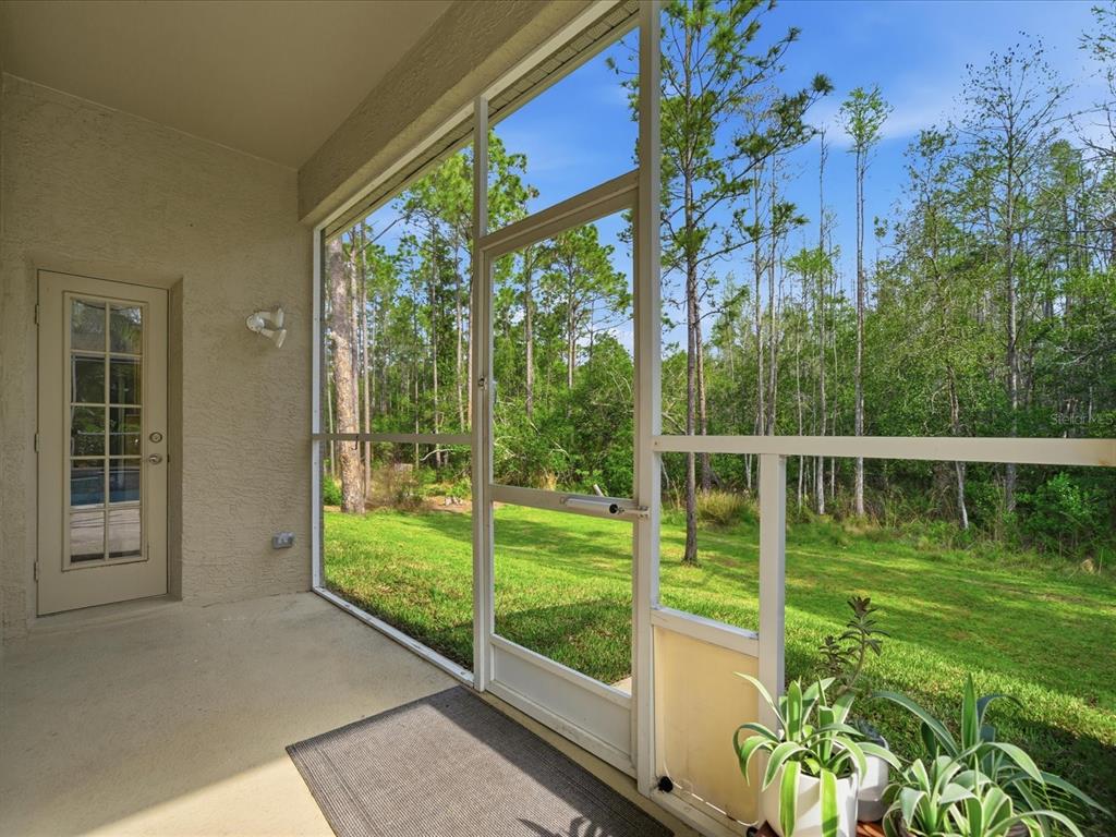 18931 Chaville Road Lutz, FL 33558 - Photo 61 of 78