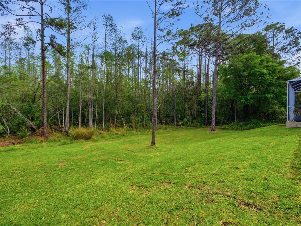 18931 Chaville Road Lutz, FL 33558 - Photo 64 of 78