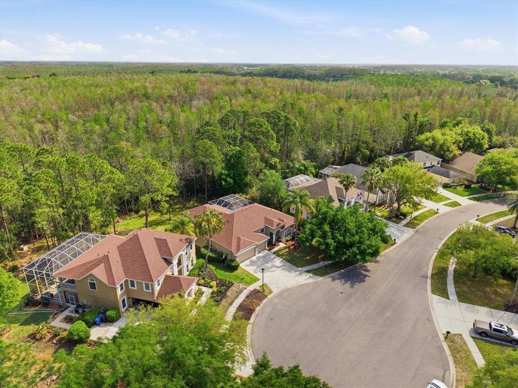 18931 Chaville Road Lutz, FL 33558 - Photo 67 of 78