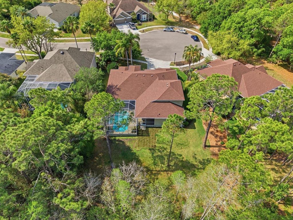 18931 Chaville Road Lutz, FL 33558 - Photo 68 of 78