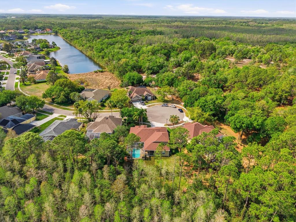 18931 Chaville Road Lutz, FL 33558 - Photo 69 of 78