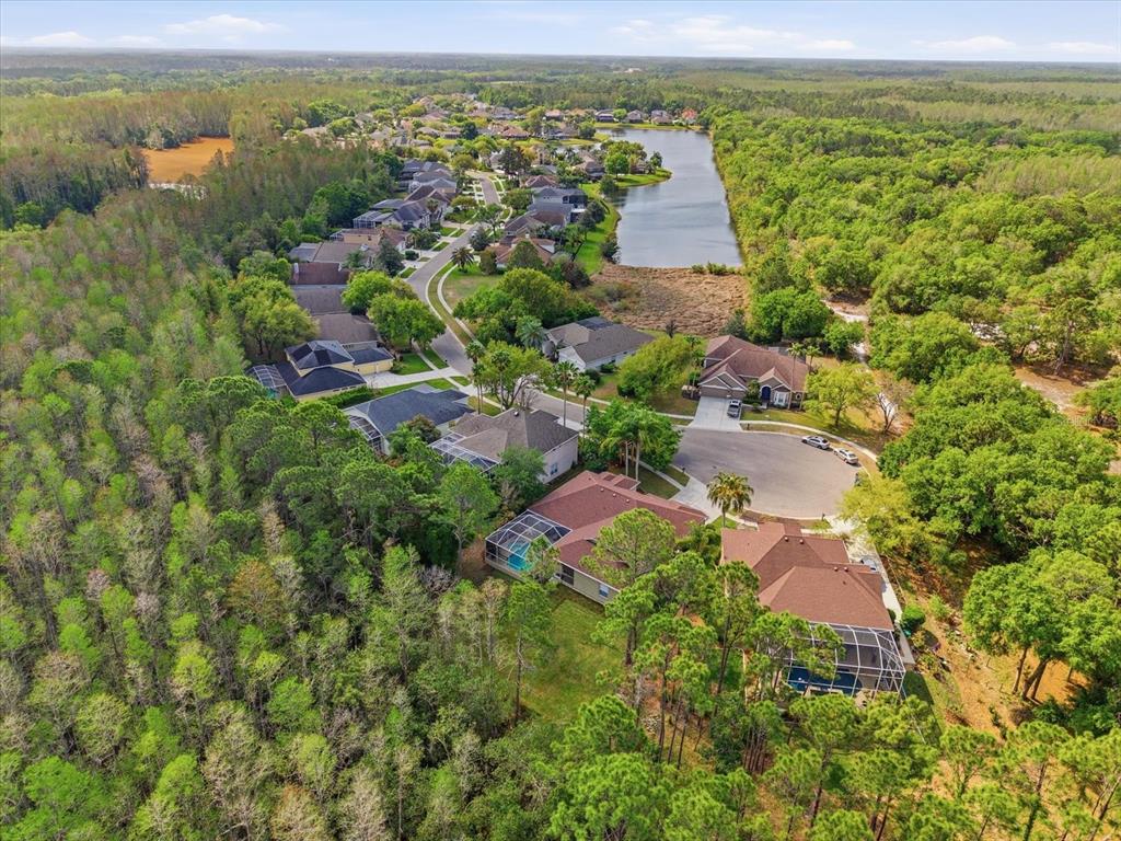 18931 Chaville Road Lutz, FL 33558 - Photo 70 of 78