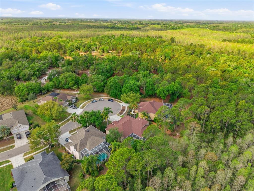 18931 Chaville Road Lutz, FL 33558 - Photo 71 of 78