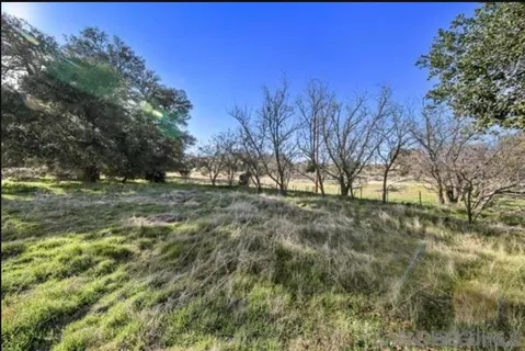 a view of outdoor space with trees