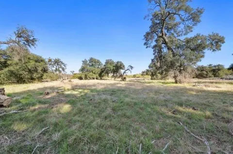 a view of yard with green space